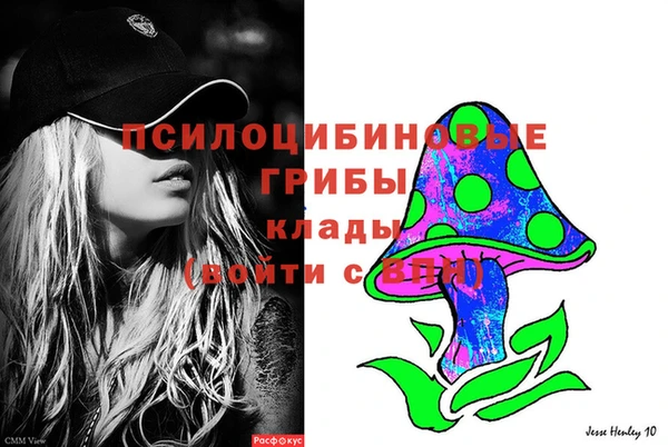 стафф Магадан