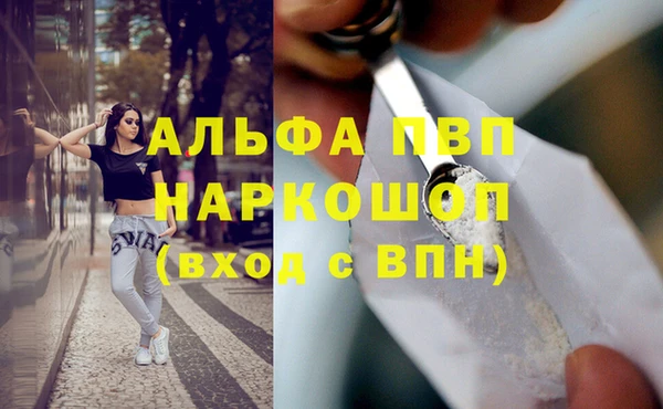 стафф Магадан