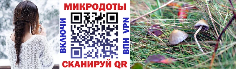 купить наркоту  Курчалой  МЕГА   Галлюциногенные грибы MAGIC MUSHROOMS 
