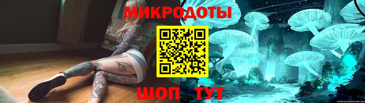 Галлюциногенные грибы Cubensis  Галлюциногенные грибы мухоморы  Курчалой  Вход с VPN 